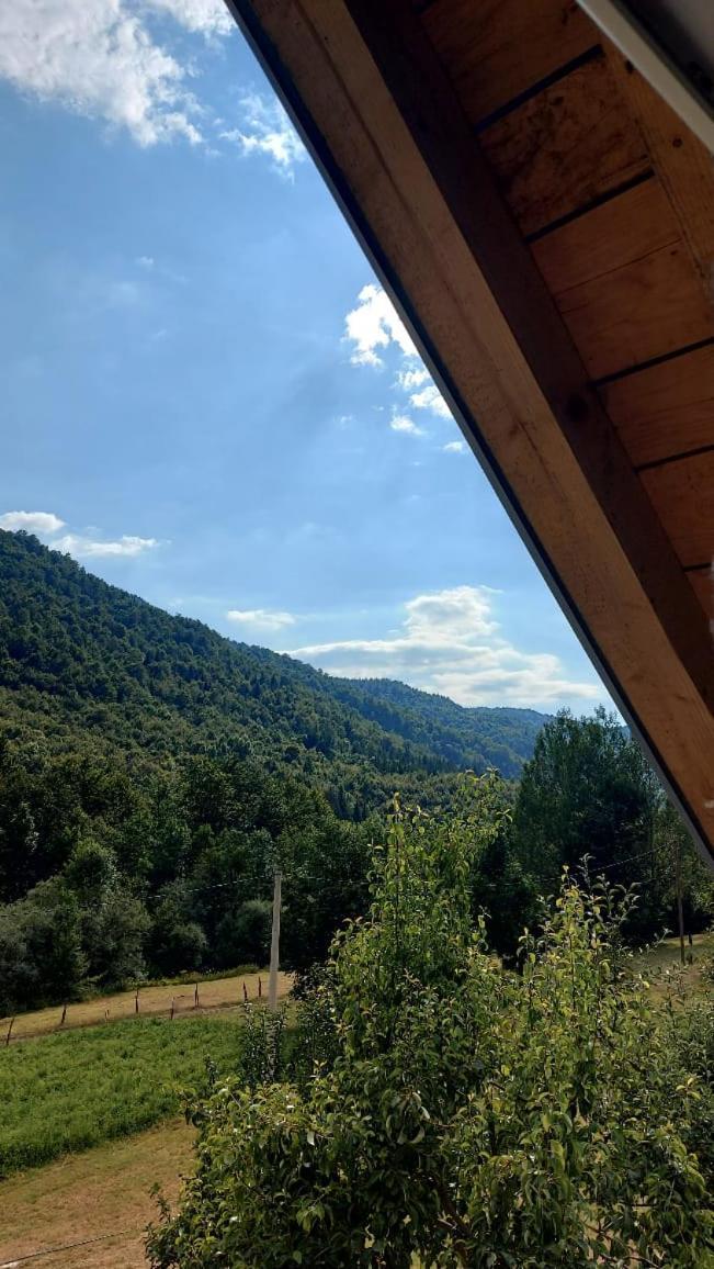 Somina Bed & Breakfast Savnik Екстериор снимка